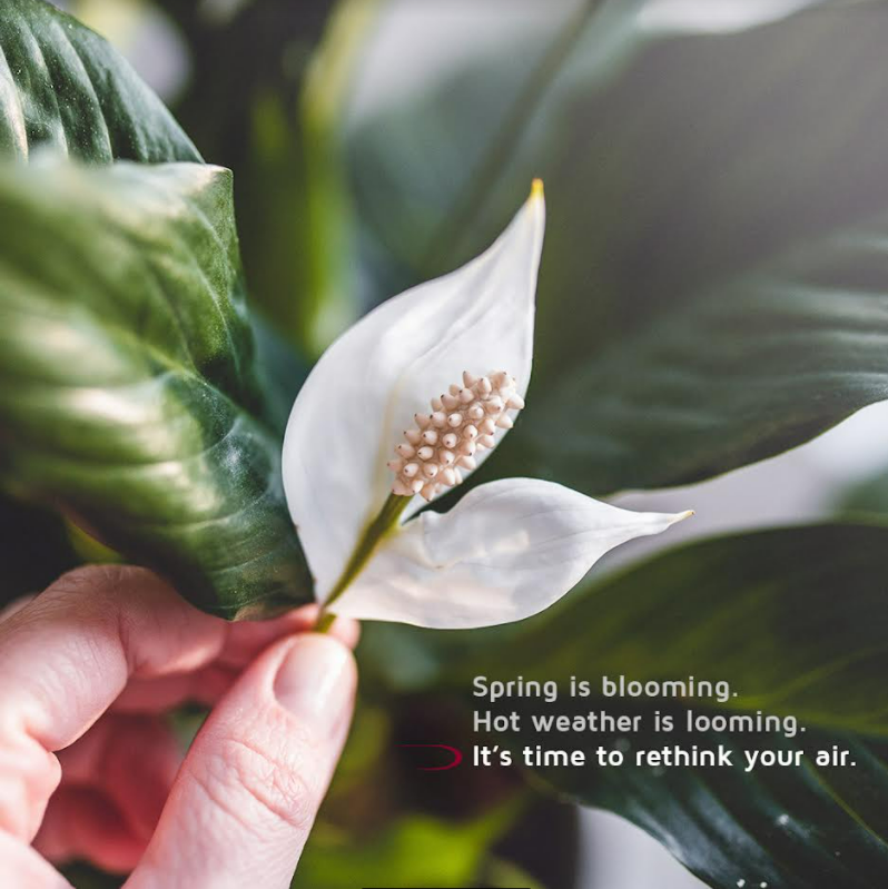 HVAC System Spring Cleaning