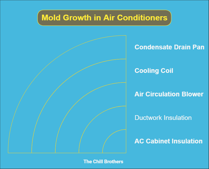 How to Stop Mold Growth in Your Air Conditioner 1 Where Does Mold Grow in an Air Conditioner